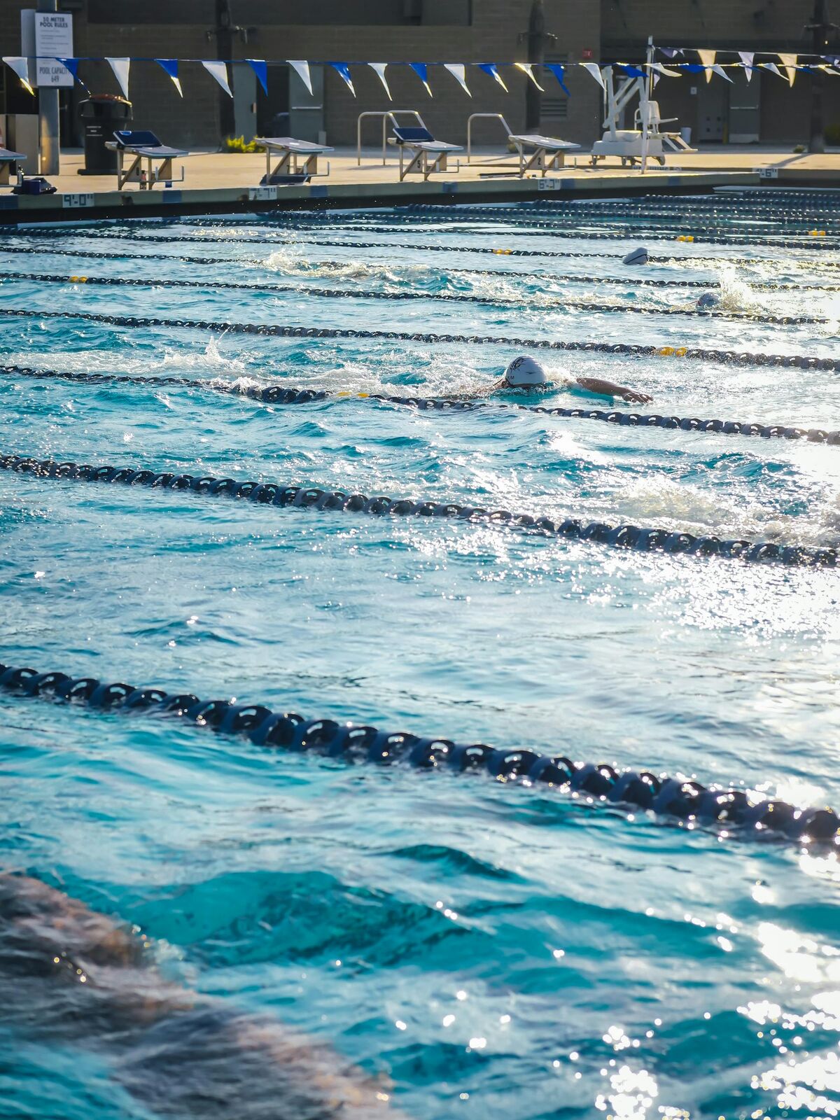 BMSC Summer Season