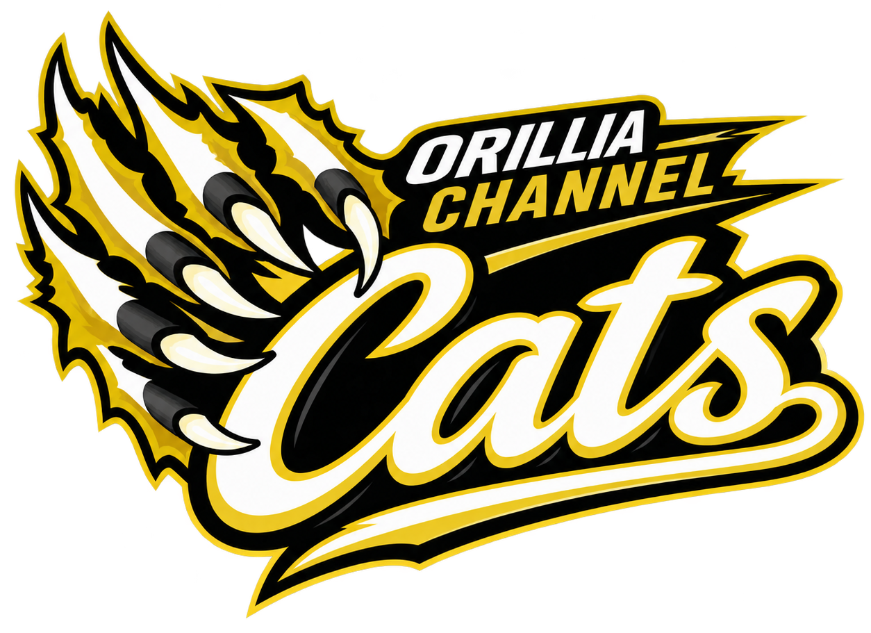 Orillia Channel Cats competitive swim meet