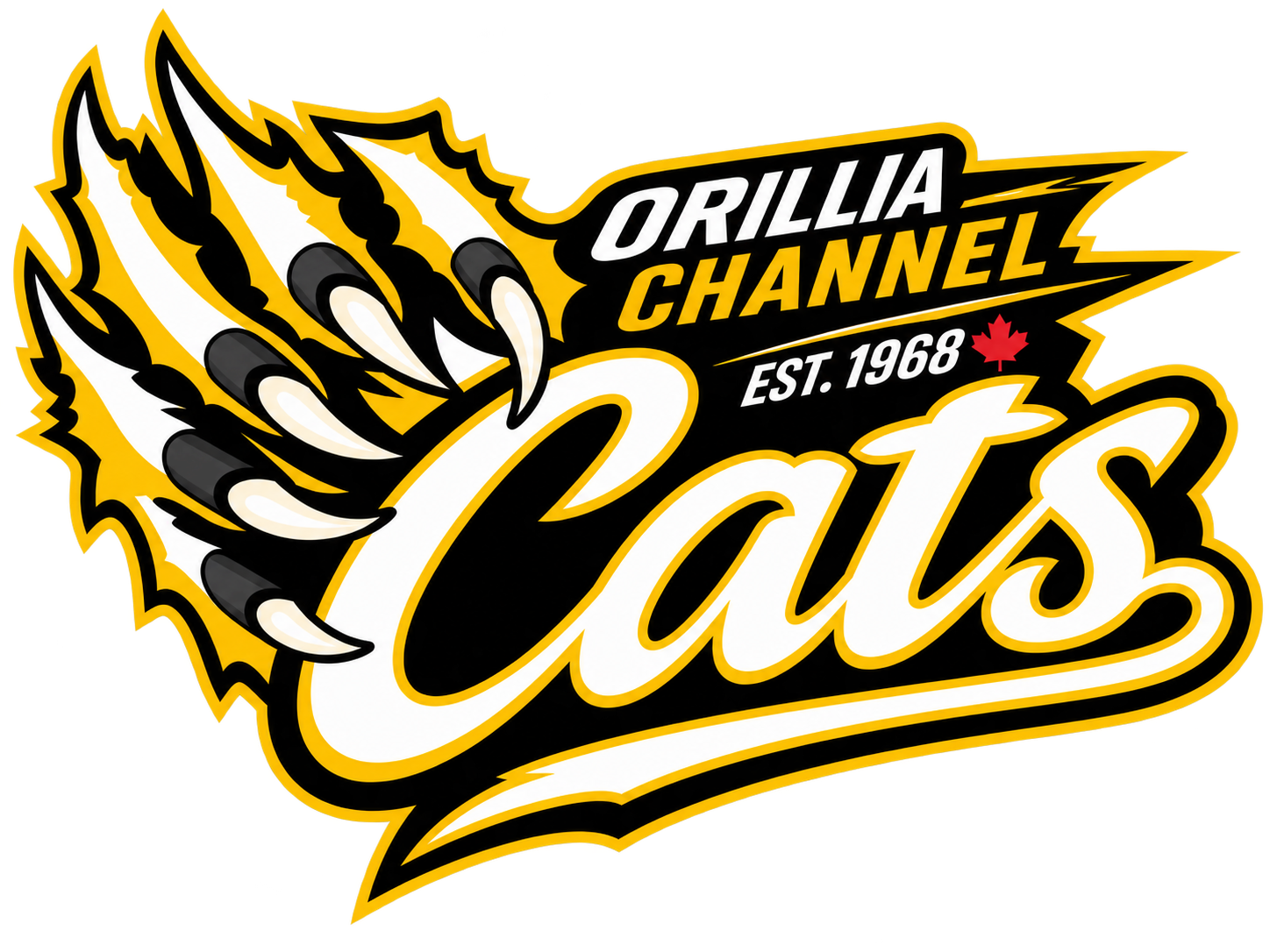 Orillia Channel Cats swimmers training in the pool