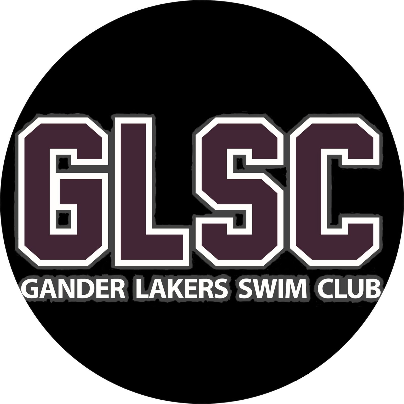 Gander Provincial Invitational image