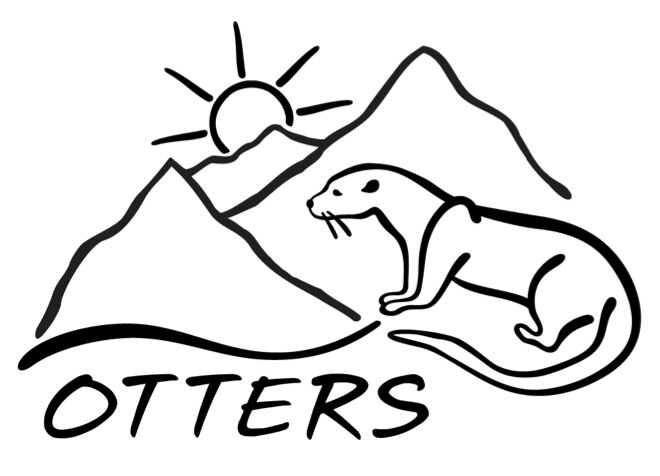 Otters Summer Splash image