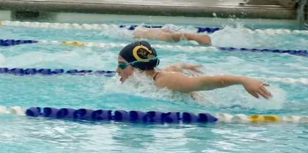 Swimming pool scene representing Chatham Pool Sharks