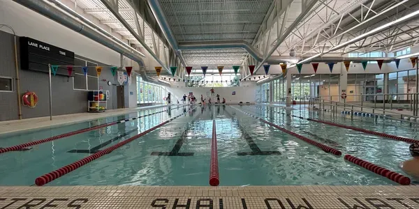 Swimming pool scene representing Chatham Pool Sharks