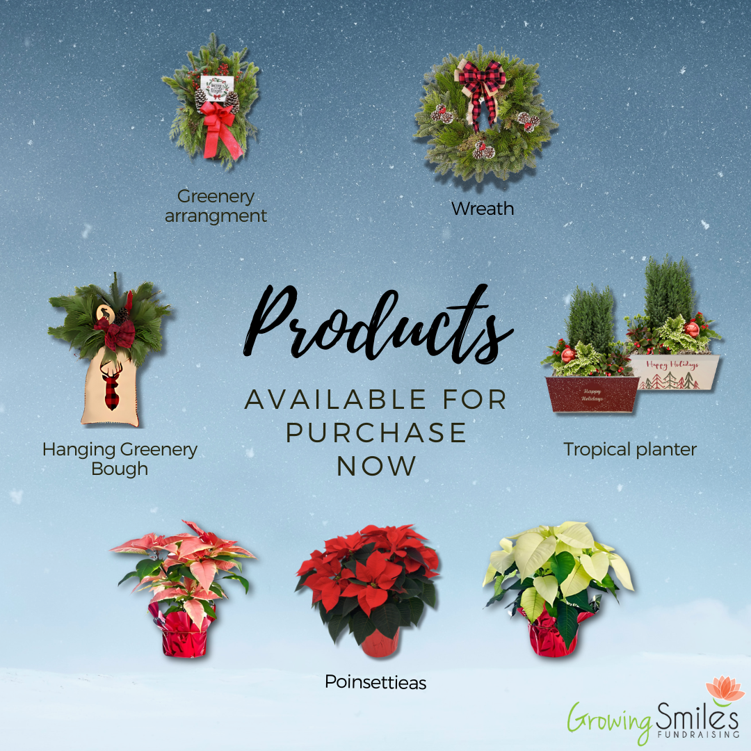 Last day to order Poinsettias (2024 Seasonal Fundraiser) image