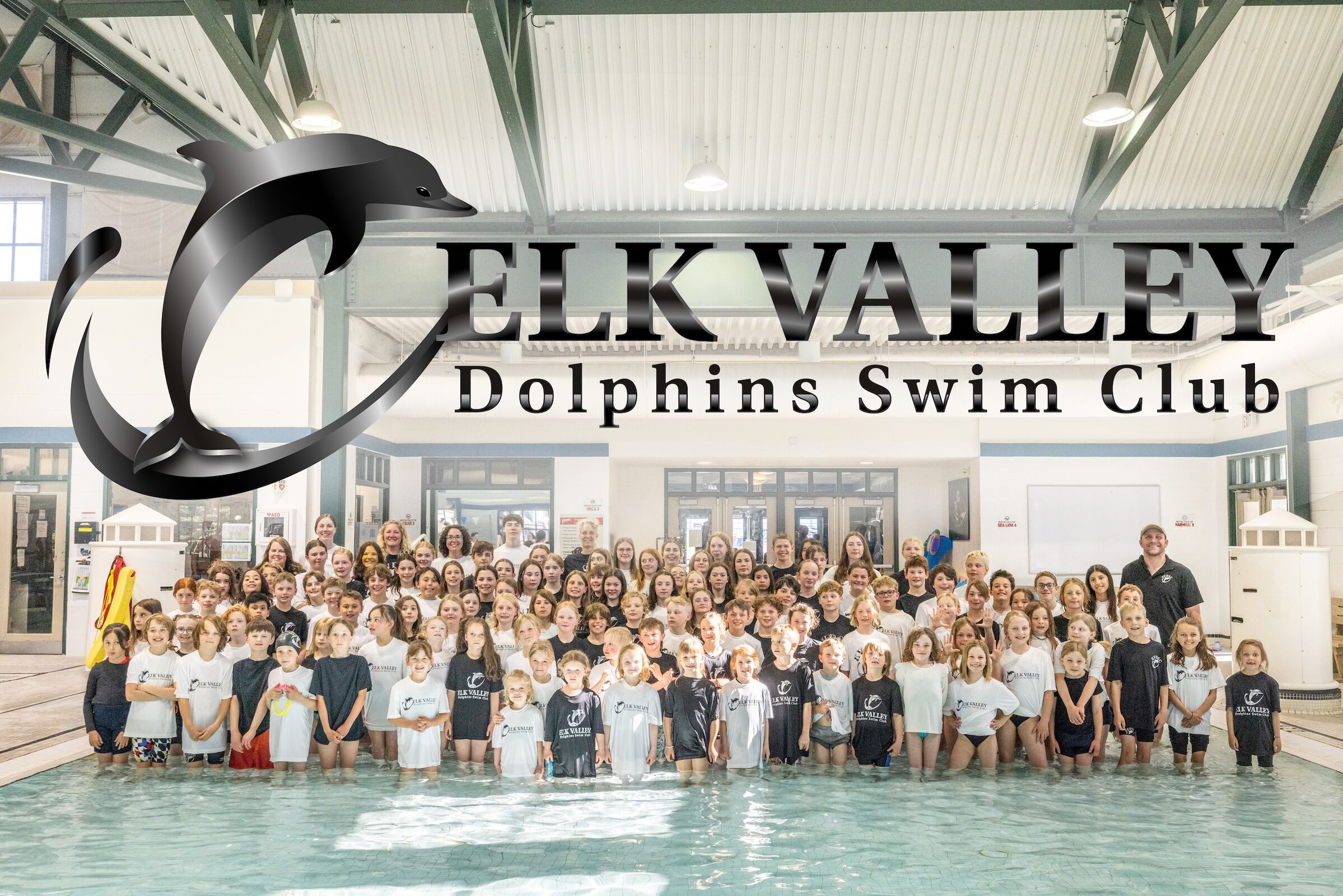 Elkford - New Swimmer Evaluations image