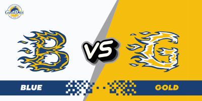 Blue vs Gold - SCM image