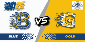 Blue vs Gold - SCM image
