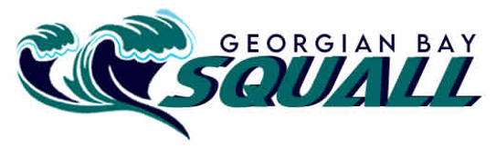 Georgian Bay Squall Fire and Ice image