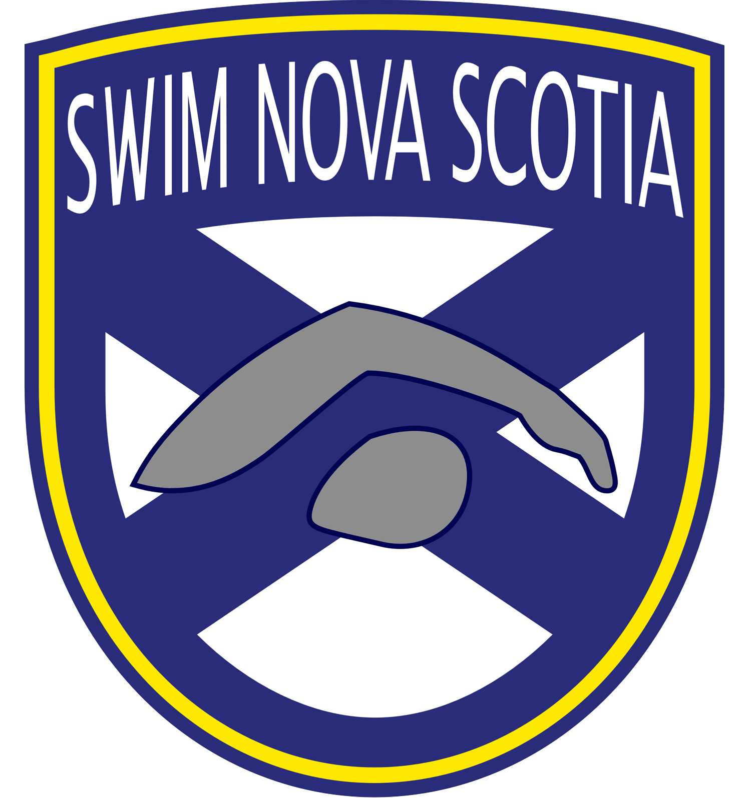 Swim Nova Scotia Next Gen Camp image