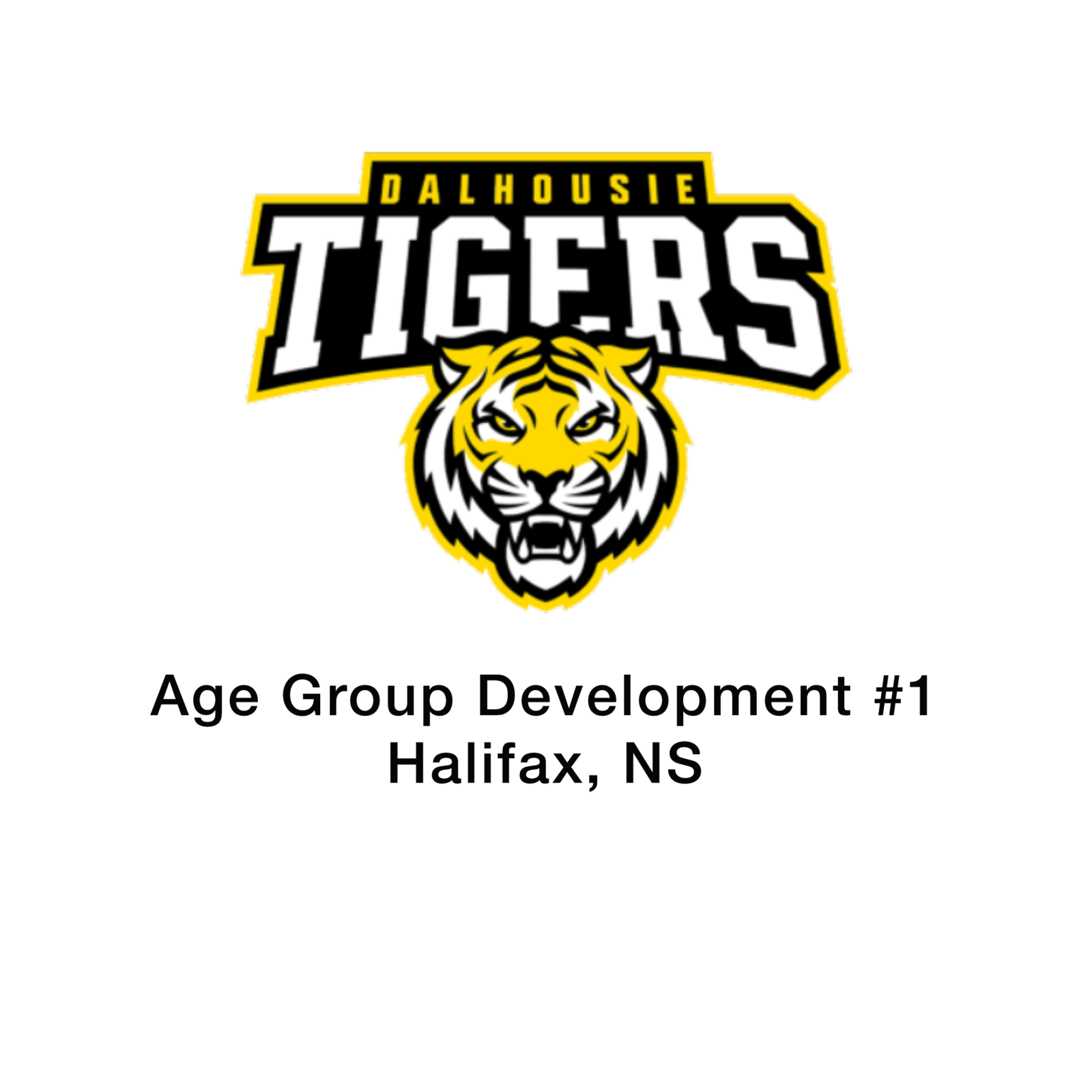 Age Group Development #1 image