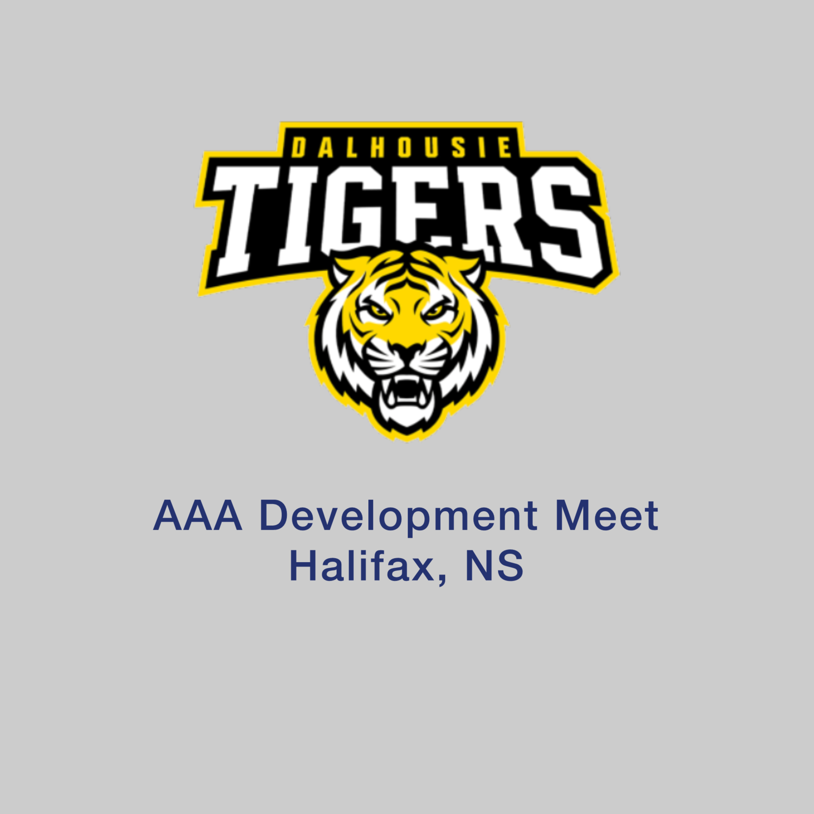 AAA Meet #3 image