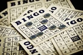 Bingo Information Session #1 image