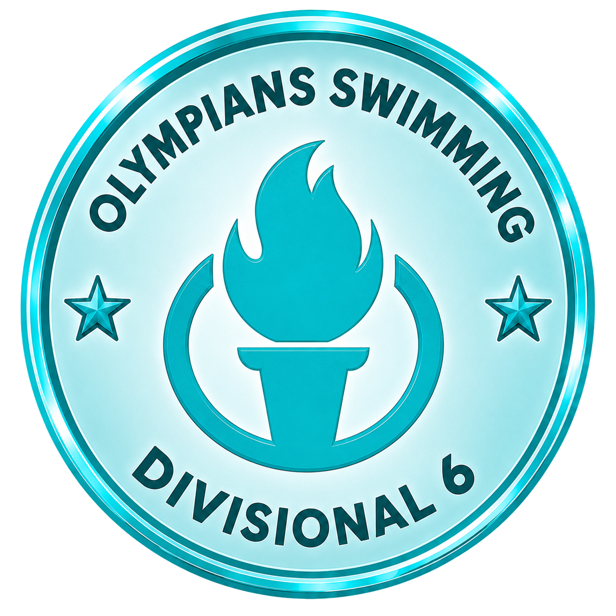 Divisional 6 Badge