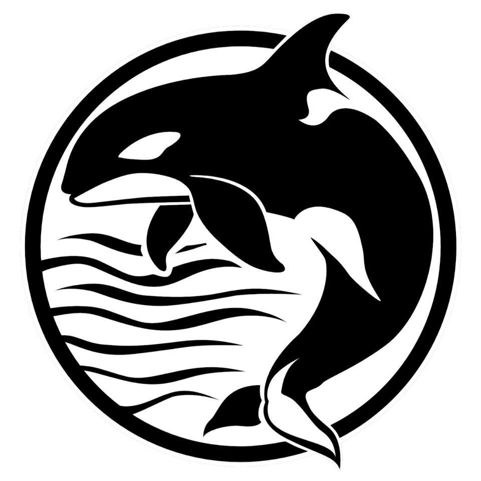 Battlefords Orca Swim Meet image