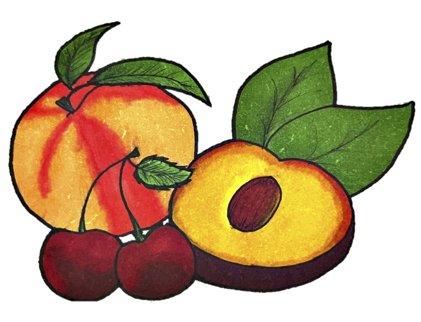 ORCA - Summerland Stone Fruit Triathlon (TBC) image