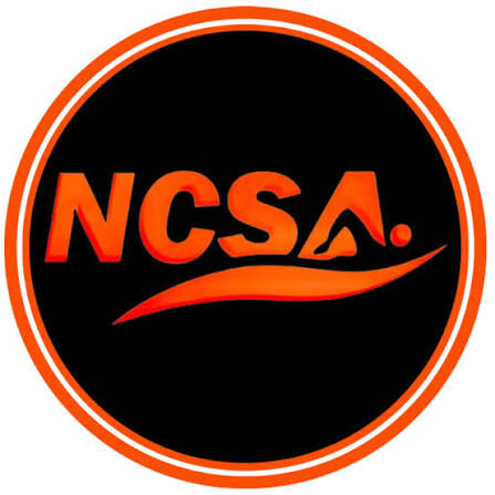 NCSA Timmermans image