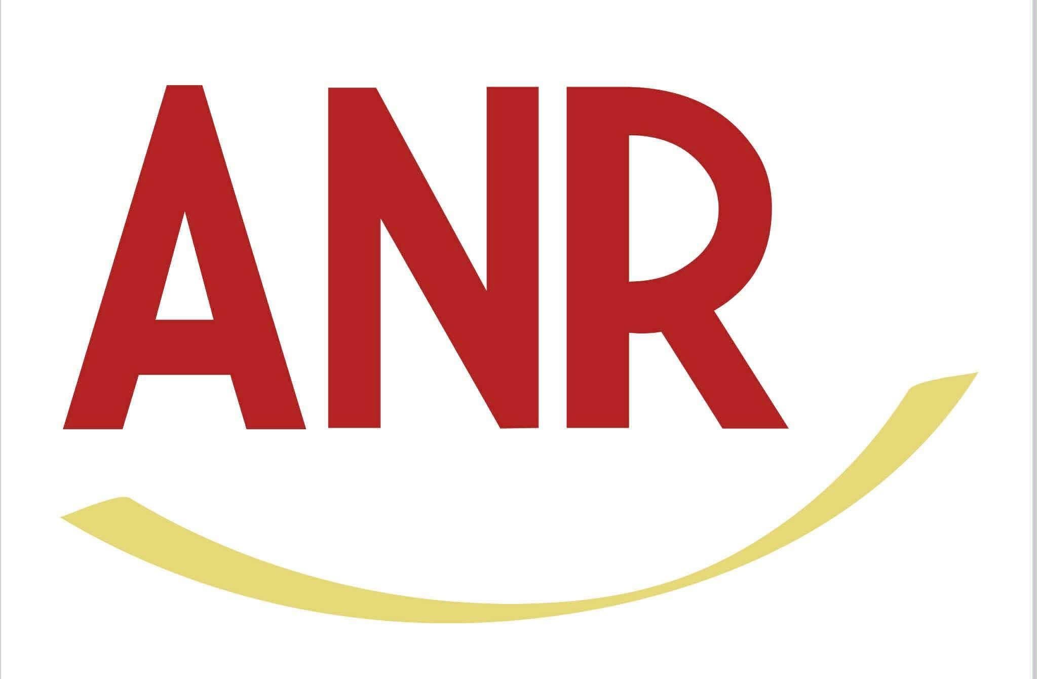 Sponsor 4 Logo