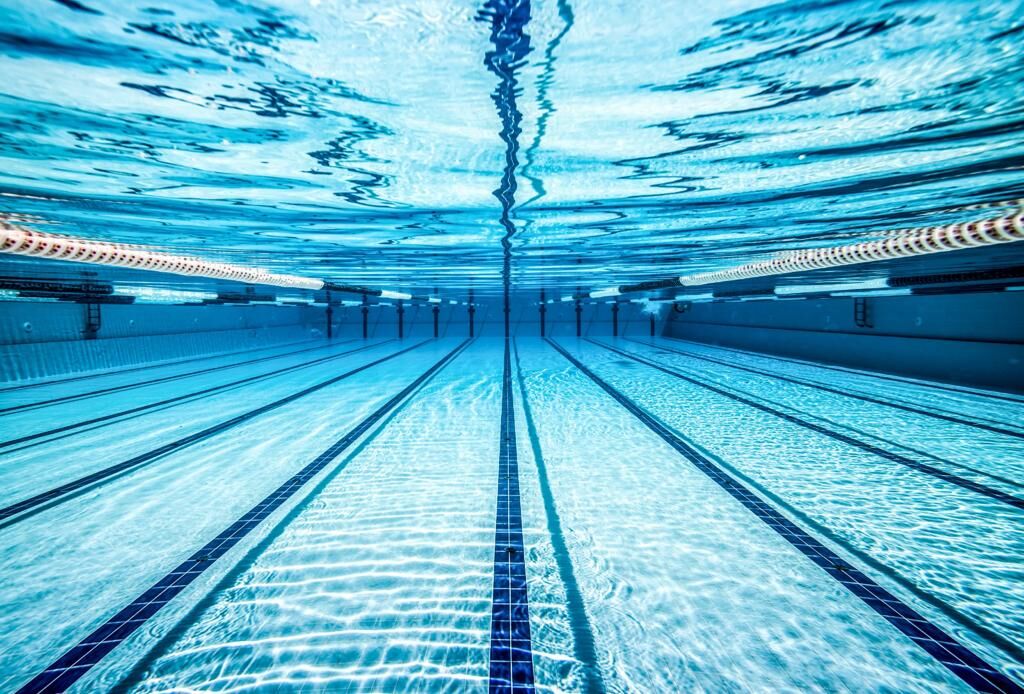 TC Falcons Swim Team