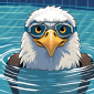 Eagles Swimming Eagle