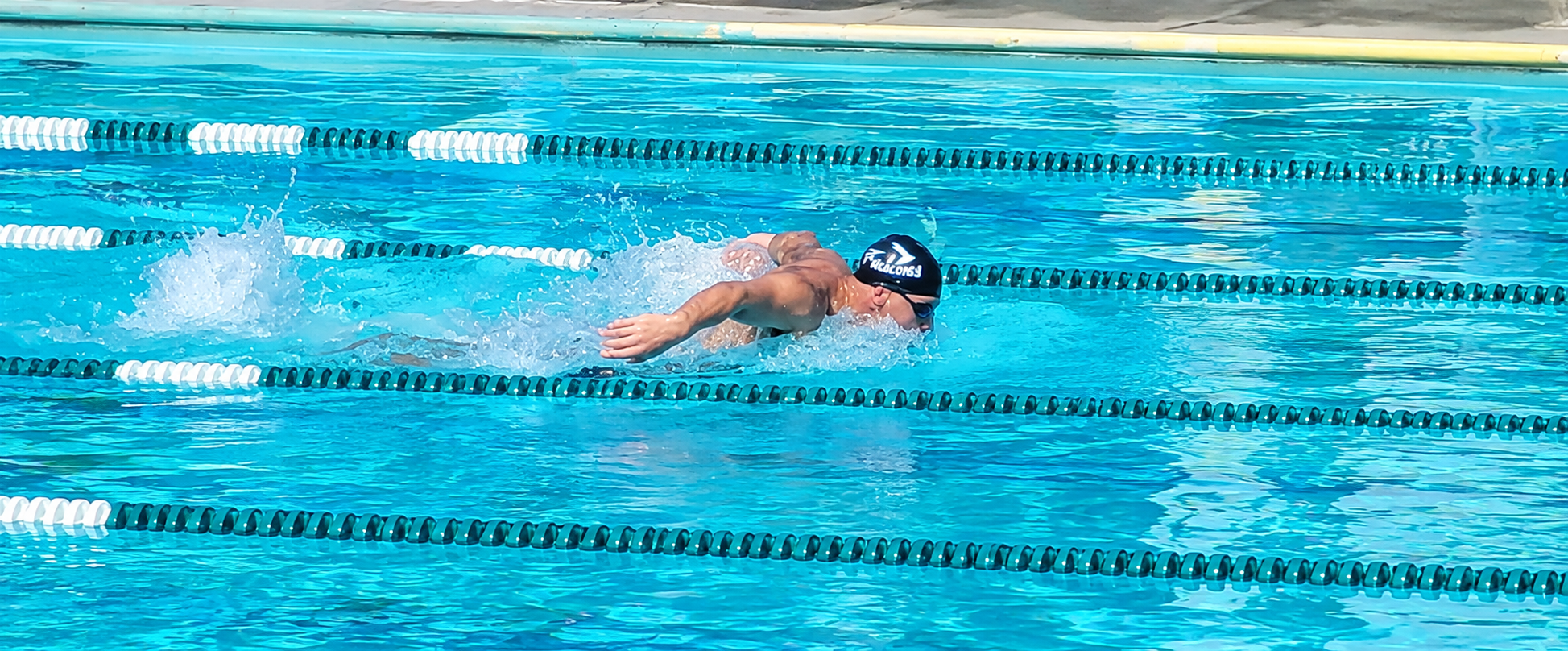 Falcons Masters Swimming