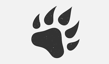 Johnstown Bear Paws Swim Meet image