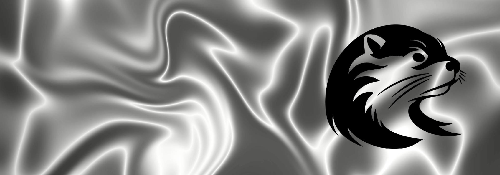 Placeholder image for feature two