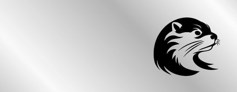 Placeholder image for feature four