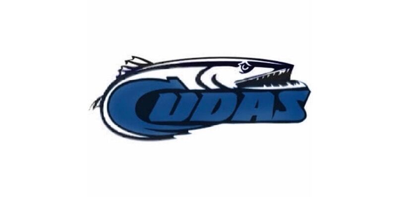 BRIDGEWATER BARRACUDAS image
